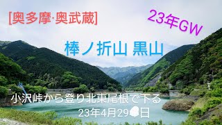 小沢峠から歩く棒ノ折山