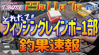 【速報：海上釣堀】23年11月7日 レインボー１部の釣果速報です！！