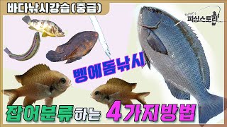 벵에돔낚시 잡어분리 4가지 패턴 [바다낚시강습_중급]  #잡어분리패턴