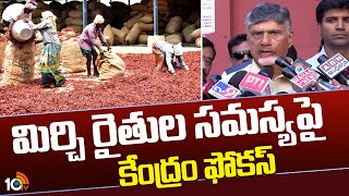 మిర్చి రైతుల సమస్యపై కేంద్రం ఫోకస్ | Central Govt Focus on chilli Farmer Problems | CM Chandrababu