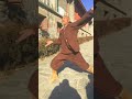 Chinese kung fu, Shaolin Kungfu.shaolin monk's kungfu show.