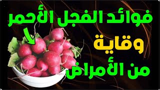 فوائد الفجل الأحمر لجسم الانسان والامراض التي يخلصك منها تناول الفجل