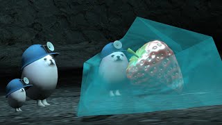 eggdog cavern