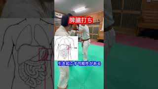 【空手】脾臓打ち　効果！！#aikido ＃karate #martial #合気道 #武道 #空手