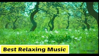 Relaxing music ★ Best music for Sleep, Spa, STUDY and WORK ★ Music braveheart