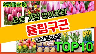 튤립구근 추천 판매순위 Top10 || 가격 평점 후기 비교