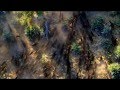 Rise Of The Planet Of The Apes - Charles Slips Away by Patrick Doyle. HD