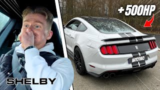 MUSTANG SHELBY GT350 ! Mi-Ange Mi-Démon ! 😈