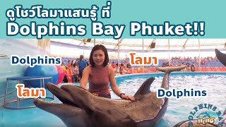 โชว์โลมาภูเก็ต Dolphins Bay Phuket  (Phuket Guide by Phukhao)