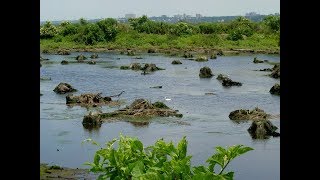 River of Many Bends: A Virtual Trip Down the Hackensack River