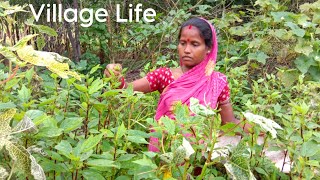 Village Life, ଖଟା ଶାଗ ତରକାରୀ, Village cooking Odisha, santali tribal eating @Thetribaleating93