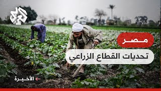 مصر .. تشديد العقوبات على المعتدين على الأراضي الزراعية