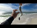 You Do Not Want To Witness This Surf Fishing Incident Ever
