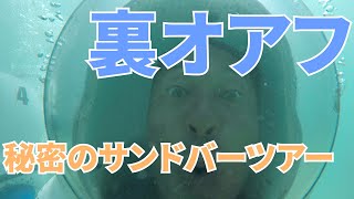 【アクティビティ】裏オアフのマリンスポーツ堪能してイイ!?【#059】