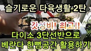 베란다 한뼘공간을 활용할 수 있는 저렴한 다육이 키핑선반 소개해요~Succulent Plant Shelf