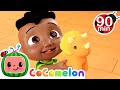 Cody's Finger Family | CoComelon - It's Cody Time | CoComelon Songs for Kids & Nursery Rhymes