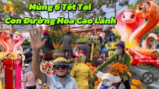 Mùng 6 Tết Người Dân Cao Lãnh Chen Nhau Đi Xin Bông Về Nhà Trưng Tết