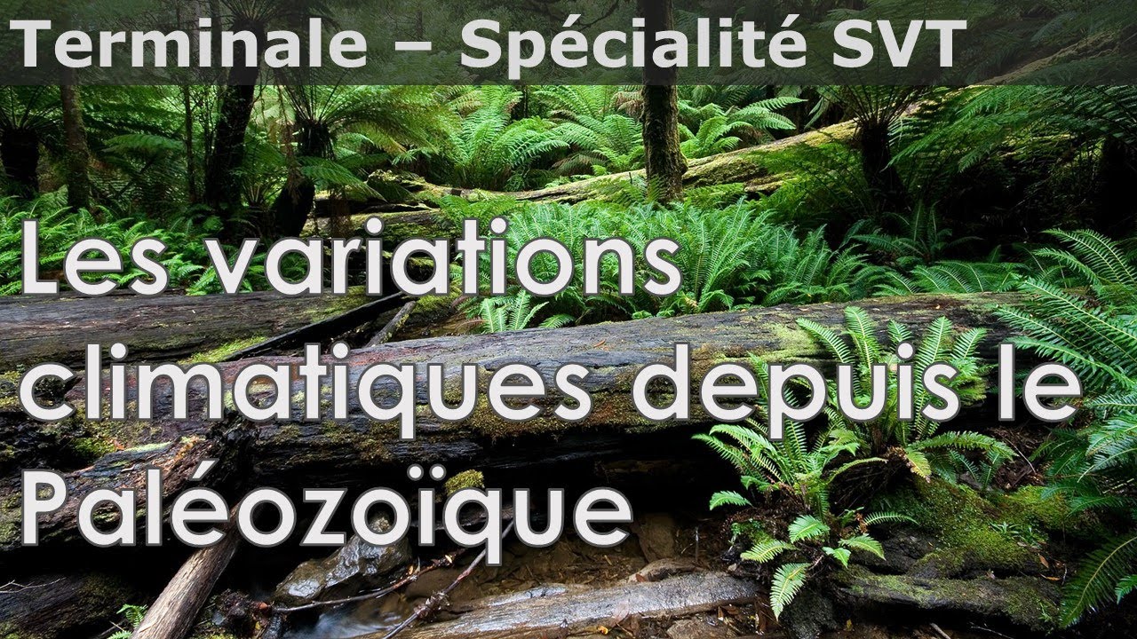 Variations Du Climat Au Paléozoïque, Mésozoïque Et Cénozoïque - SVT ...