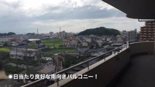 02380 ル・ロア・ヴェール 705号 愛媛県松山市福音寺町マンション・賃貸・不動産・住まいのことなら日本エイジェント お部屋さがし物語へ