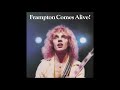 Peter Frampton   Lines on My Face LIVE with Lyrics in Description