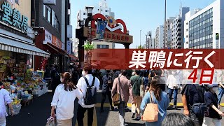 下町情緒あふれる！巣鴨地蔵通り商店街を散策