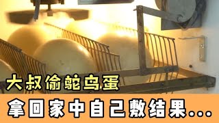 鸵鸟妈妈离世前将7颗蛋托付给大叔，没想到孵化鸵鸟蛋如此困难！