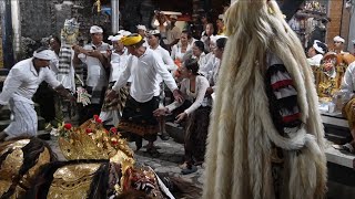 MERINDING KERANGSUKAN NG4MUK || Napak Pertiwi ida Sesuhunan Pura Dalem Kebon Buduk Mengwi Badung