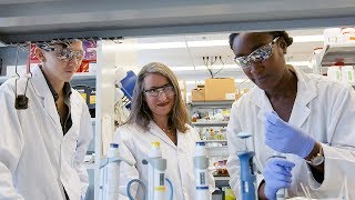 The University of Toronto Amgen Scholars Program