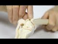 Patellar Luxation (Veterinary Instrumentation Technique Overview)