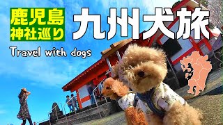 【九州犬旅 3800キロ 車中泊】鹿児島の面白い神社巡りと最南端の駅｜九州旅行｜龍宮神社｜JR西大山駅｜釜蓋神社｜キャンピングカー｜車中泊｜INUVAN│バンライフ│NV200│