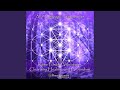 Fully Activated 12 Strands DNA (852hz)
