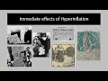 the challenges of 1923 hyperinflation and the french occupation of the ruhr.