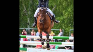 Salo Horse Show ~outta my head~