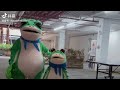 green frog a compilation of funny videos of the green frog p11 chinese tik tok funny douyin