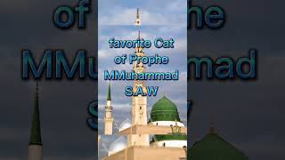 Favorite Things of Prophet Muhammad S.A.W #islamic #muhammadﷺ #allah #islamicvideo #youtubeshorts