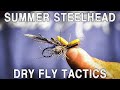 Dry Fly Tactics for Steelhead W/ Stuart Warren | Ashland Fly Shop