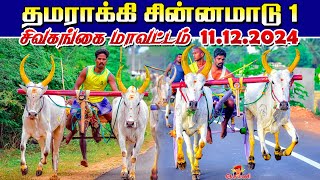 தமராக்கி சின்னமாடு1 பந்தயம் சிவகங்கை மாவட்டம்