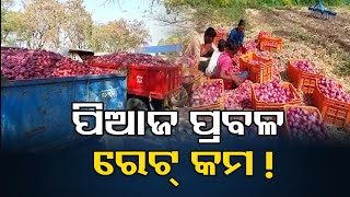 ପିଆଜ ପ୍ରବଳ ରେଟ୍‌ କମ ! | Odisha Reporter