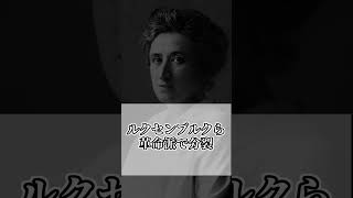 「社会主義性の違い」で分裂したドイツの政党　 #history #ドイツ帝国  #世界史 #ドイツ #ゆっくり解説  #shorts