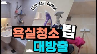 찌든때,물때,곰팡이 없는 우리집 욕실청소꿀팁/이것저것 써보고 정착한 욕실청소세제추천