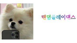 랜덤플레이댄스🎧