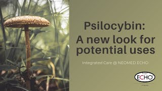 Psilocybin: A New Look for Potential Uses - Integrated Care @ NEOMED ECHO