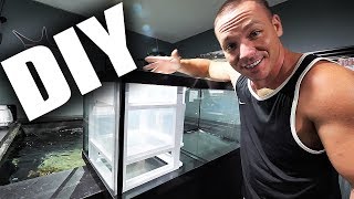 HOW TO: Build a simple aquarium sump | The King of DIY