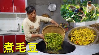 Pull edamame in the ground, cook a big pot and eat more deliciously!