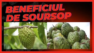 Beneficiul de soursop