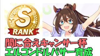 【ウマ娘攻略】キャンサー杯ラウンド２がやばい　 SR育成でSランク　エルコンドルパサー育成配信