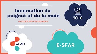 e-sfar 2018 - Innervation du poignet et de la main