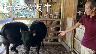 【飯南町深野】特産松阪牛「かず」「こなつ」日記③