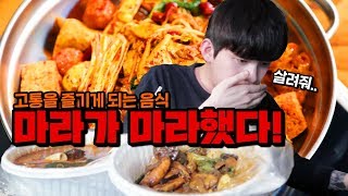 마라탕\u0026마라샹궈 둘 다 먹방, 행복한 고통