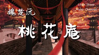 魏楚沅 【桃花庵】（抖音歌曲）【動態歌詞 || 高音質】『跟着我肆无忌惮 不能平凡 当了昨天又摘桃花换酒钱』